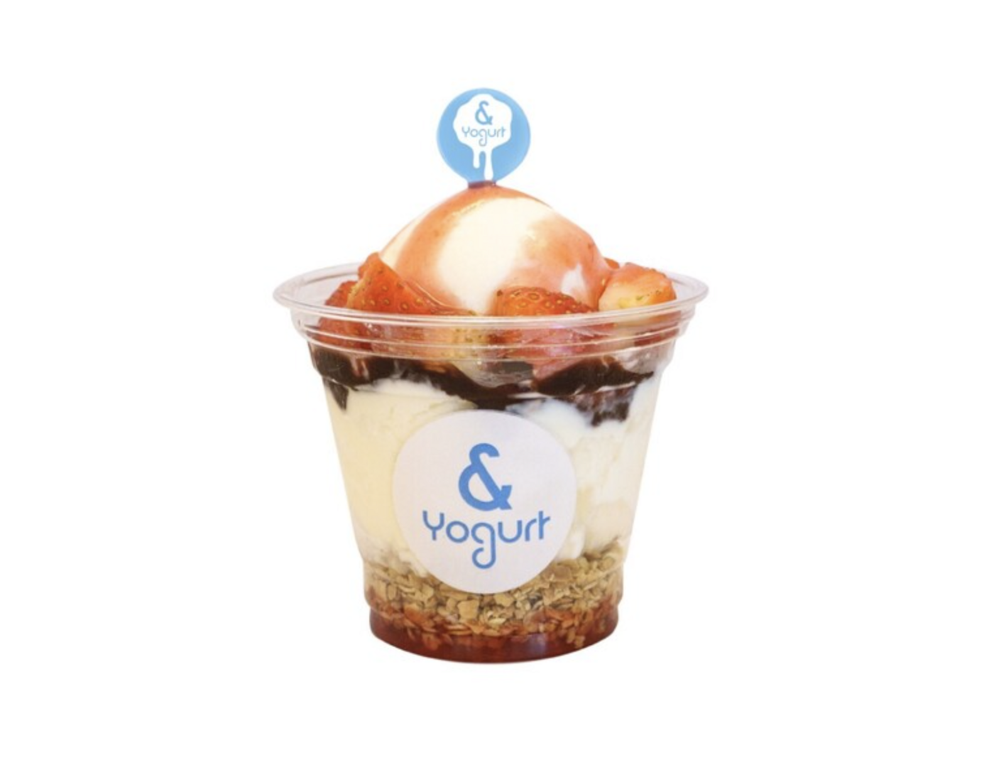 【2025冬限定】＆ Yogurt 横浜店のクリスマスメニューが登場！ペット同伴OKカフェ｜＆ Yogurt 横浜店【公式】の画像