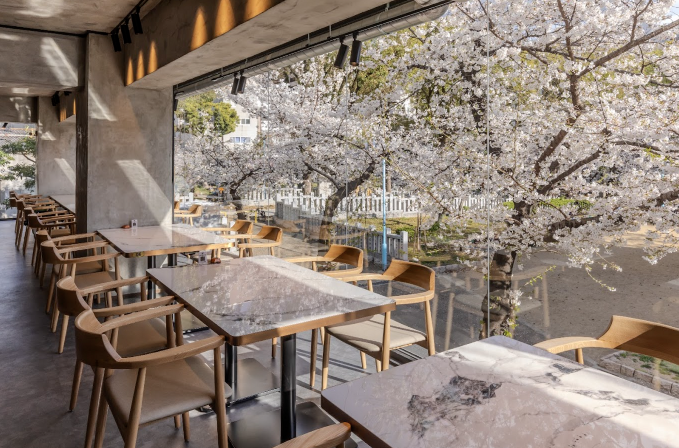 七五三参拝後の家族お祝い食事！高津｜すきやき・しゃぶしゃぶ大牧場 高津店【公式】の画像