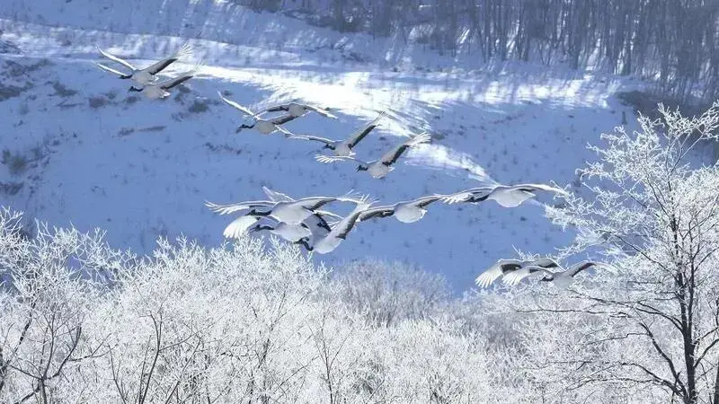 釧路プリンスホテル（釧路）｜自然の絶景1泊2日旅！タンチョウに出会うガイド付きツアー【PR】 2枚目