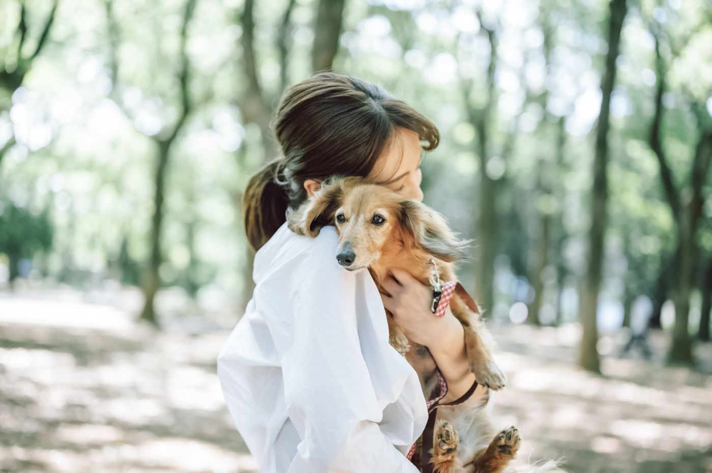 犬用ハーネスは「Ethical Door」がおすすめ！ベスト型でペットにやさしいハーネスの画像