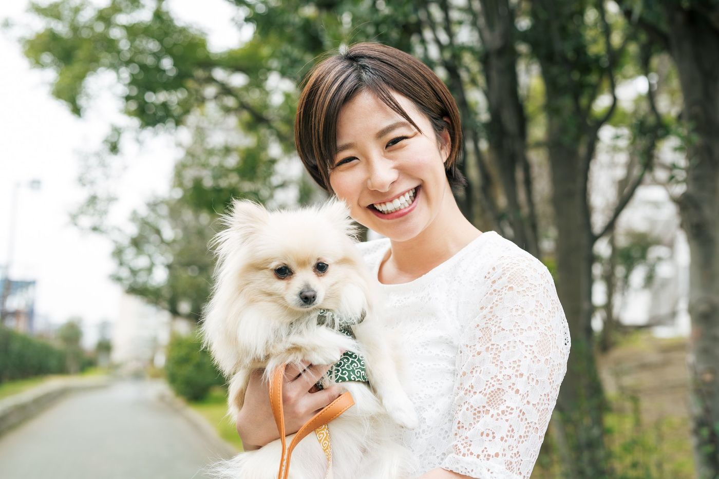 犬用ハーネスは「Ethical Door」がおすすめ！ベスト型でペットにやさしいハーネスの画像
