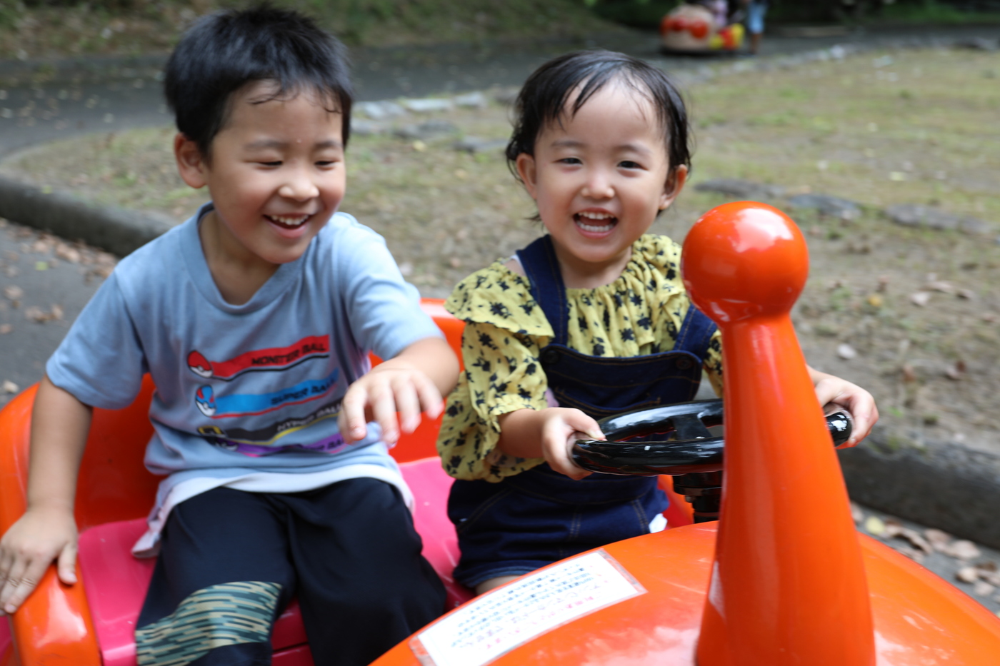 家族旅行やアウトドアレジャーにぴったり｜奥霧島 皇子原公園 キャンプ場【公式】の画像