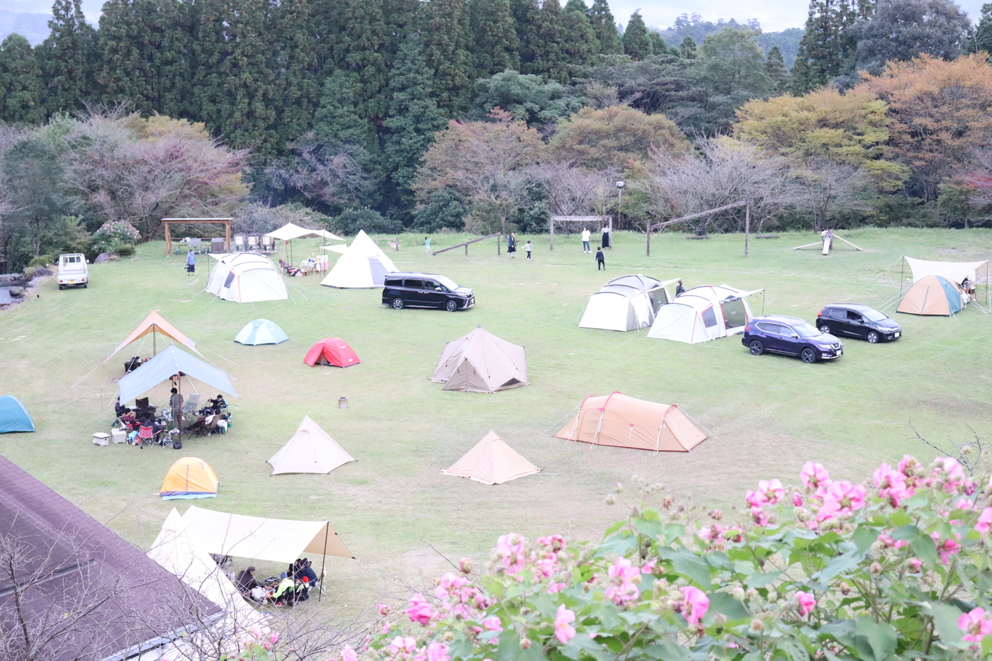 家族旅行やアウトドアレジャーにぴったり｜奥霧島 皇子原公園 キャンプ場【公式】の画像
