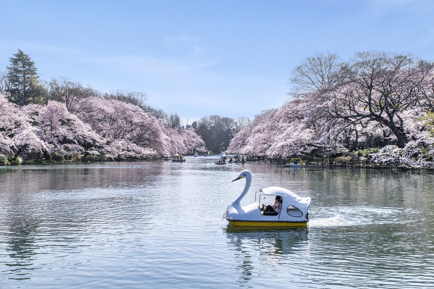 【2025年最新版】東京観光おすすめスポット34選｜絶対に外せない定番＆穴場の画像