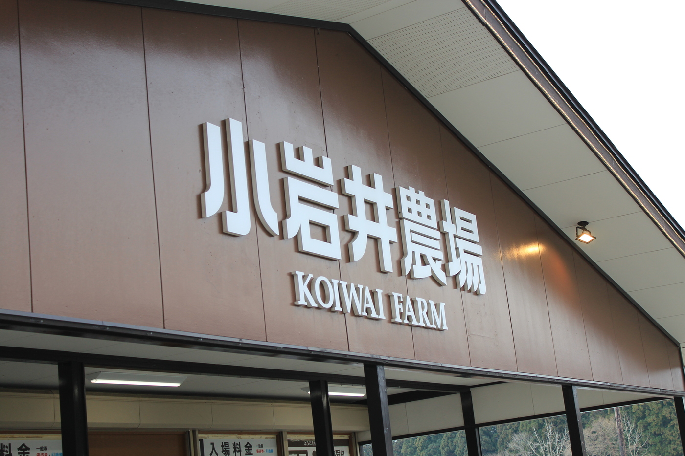 【体験レポ】冬の家族旅行は『いこいの村岩手温泉ホテル』で決まり！スキー場へ行く拠点宿にもおすすめの画像