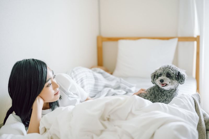 洗える犬用ベッド12選 選び方や便利 おしゃれな商品をご紹介 Aumo アウモ