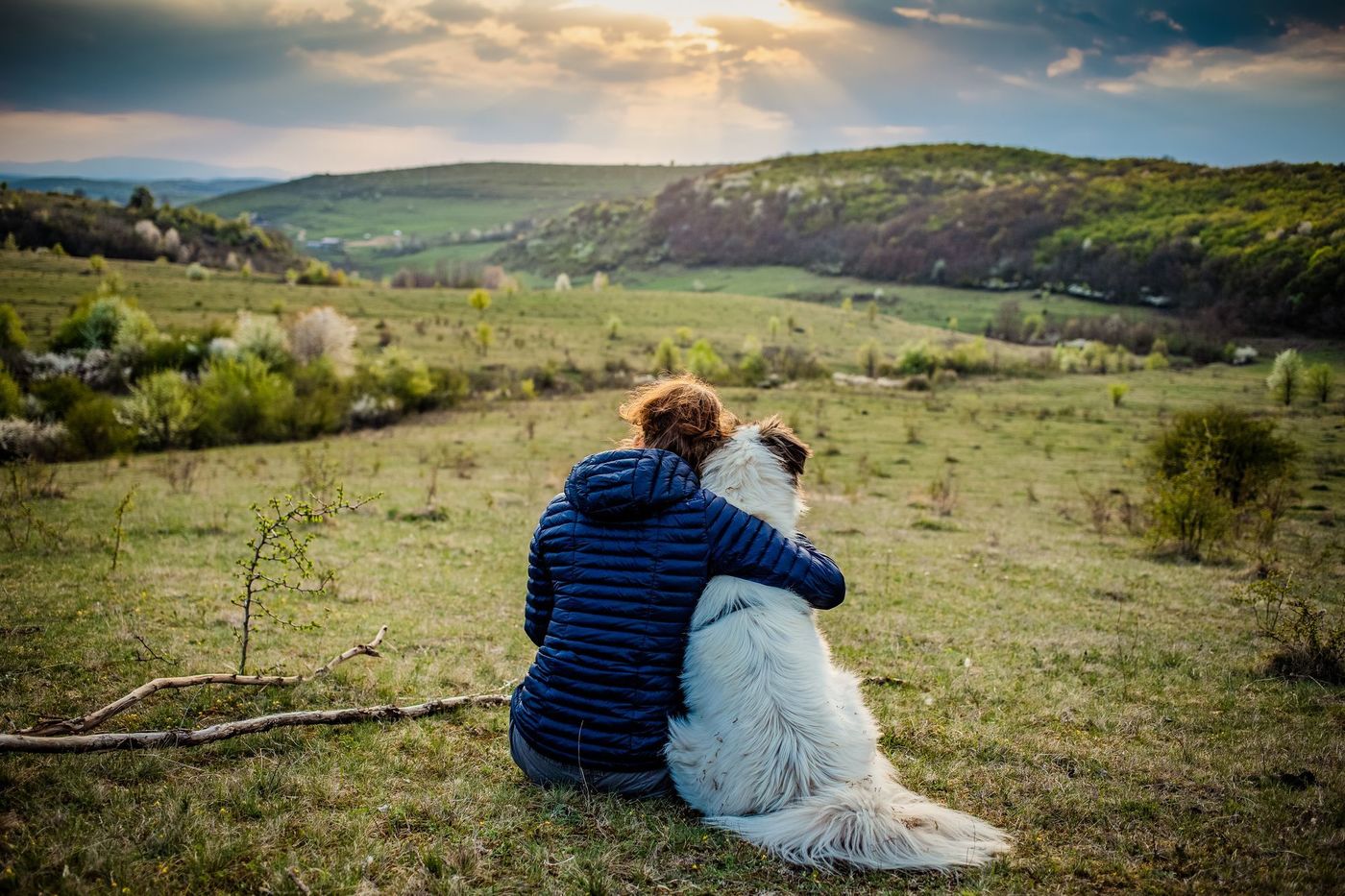 犬用ハーネスは「Ethical Door」がおすすめ！ベスト型でペットにやさしいハーネスの画像