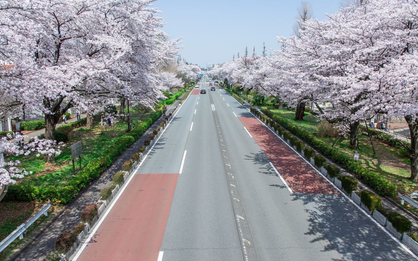 国立のデートは任せろ！ゆったり・おしゃれなプラン♡の画像