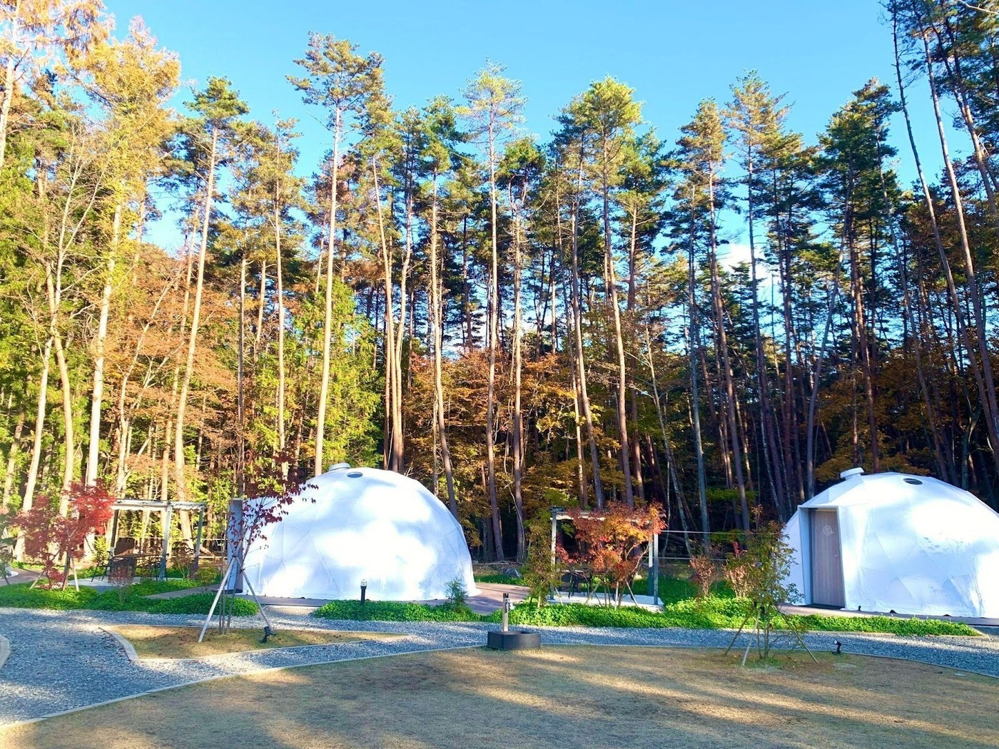富士山の麓のグランピング施設『HOSHIFULL DOME FUJI』！自然の静けさに心ほどける滞在の画像