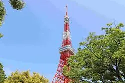 【Activity】半径約500mで『東京タワー』を満喫！絶景＆映えスポットガイド