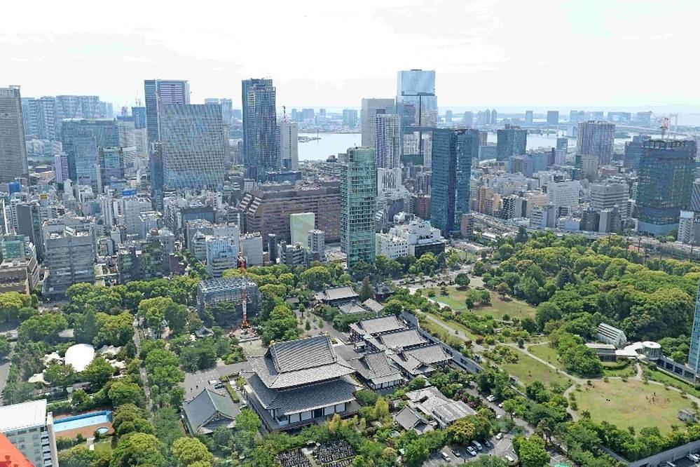 【Activity】半径約500mで『東京タワー』を満喫！絶景＆映えスポットガイドの画像