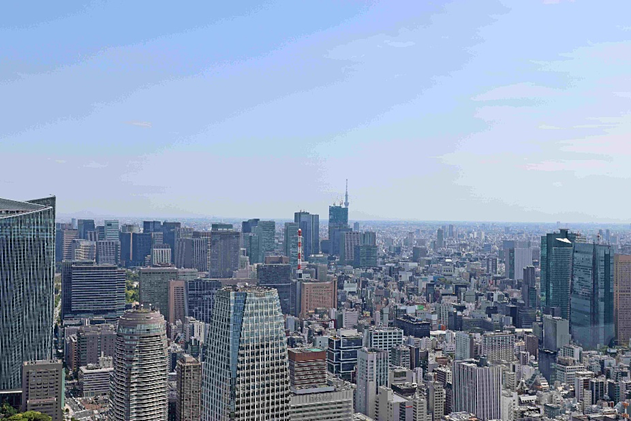 【Activity】半径約500mで『東京タワー』を満喫！絶景＆映えスポットガイドの画像