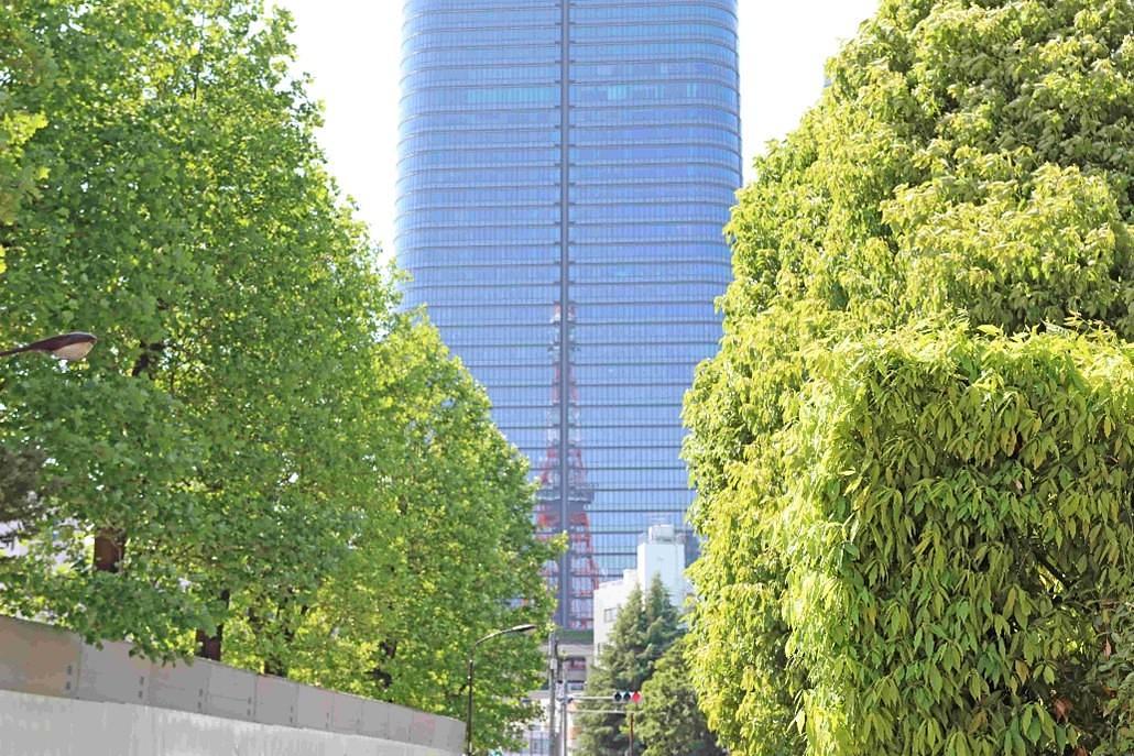 【Activity】半径約500mで『東京タワー』を満喫！絶景＆映えスポットガイドの画像