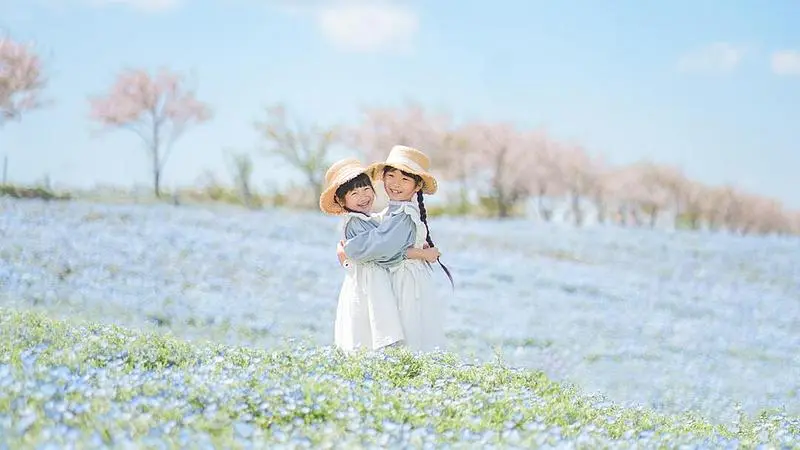 ネモフィラ祭りの絶景を楽しむ春限定の宿泊プラン 1枚目