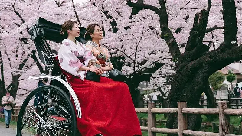 春限定グルメと早朝人力車で味わう小江戸時間 1枚目