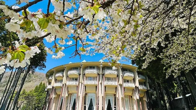 桜の下でととのう国内旅行の朝時間 1枚目