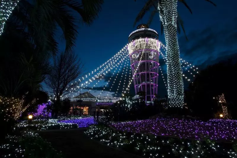 ロマンティックなライトアップイベントは逃せない！ 1枚目