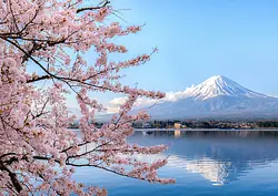 【山梨】外国旅行者に贈る『HOSHIFULL DOME FUJI』のグランピングステイ！富士山麓の大自然でアウトドア体験