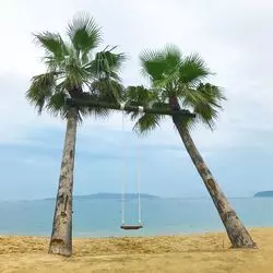 福岡のSNS映えといえばココ♡糸島フォトジェニックスポット