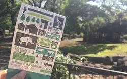 吉祥寺の動物園「井の頭自然文化園」でデートや家族でお出かけ！