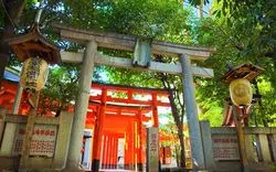 渋谷での年越しはこれだ！初詣にピッタリのおすすめ神社まとめ♪