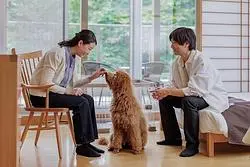 梅雨でも愛犬と旅しよう！『わんわんパラダイスプレミア塩原』で叶えるペットファーストな滞在