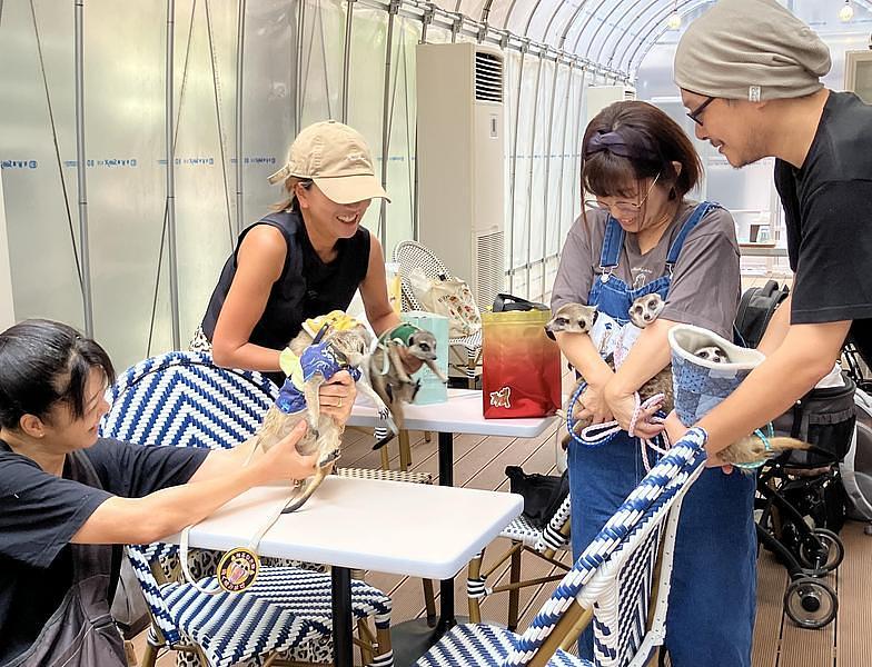 【谷中】サクラカフェ＆レストラン日暮里！ペット同伴OKの隠れ家カフェで谷中散策の合間におすすめの画像