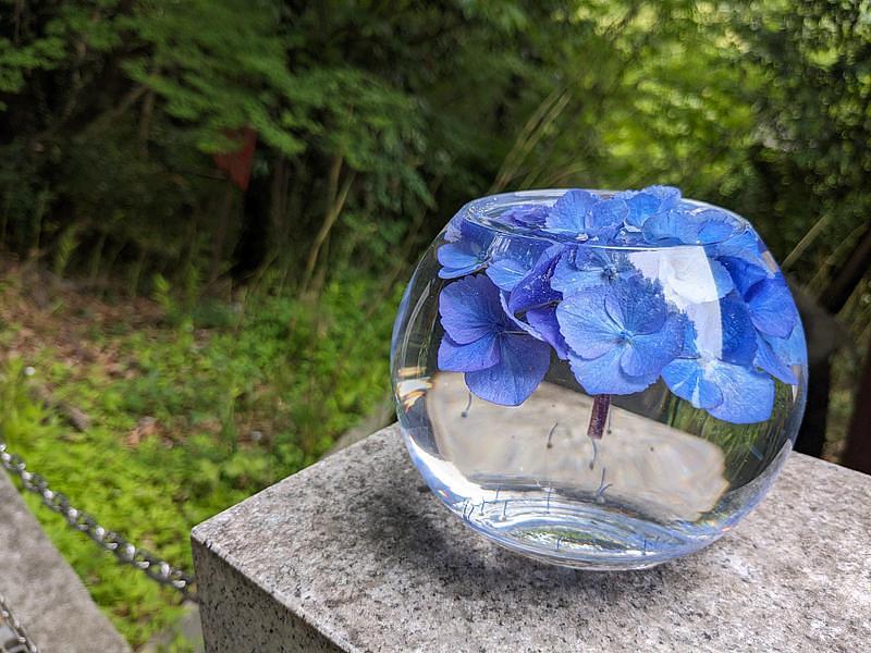 【和歌山】ホテルハーヴェスト南紀田辺で梅雨シーズンを満喫！あじさい曼荼羅園と雨の日のゴルフシミュレーターの画像