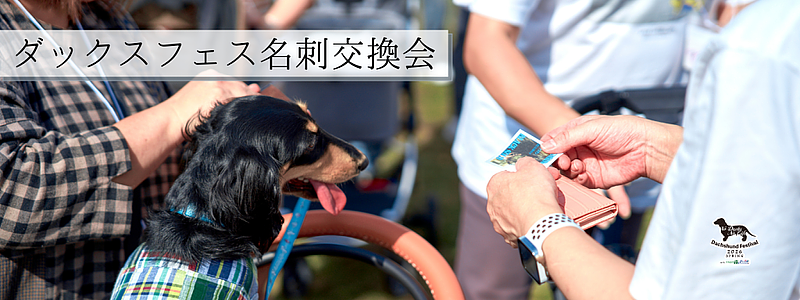 【茨城】こもれび森のイバライドのわんちゃんフェスティバル！大切な愛犬と過ごす夢のような1日の画像