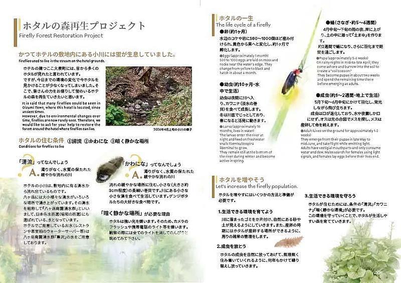 【山梨・八ヶ岳】グランドメルキュール八ヶ岳リゾート＆スパ！6月週末限定ホタル放虫体験と新アクティビティ「ビリッカー」の画像