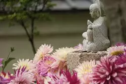【奈良】お花でドレスアップされた境内！明日香村の岡寺へ行こう♪