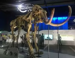 【東京他】世界初公開！マンモスの冷凍標本でワクワクしよう♪