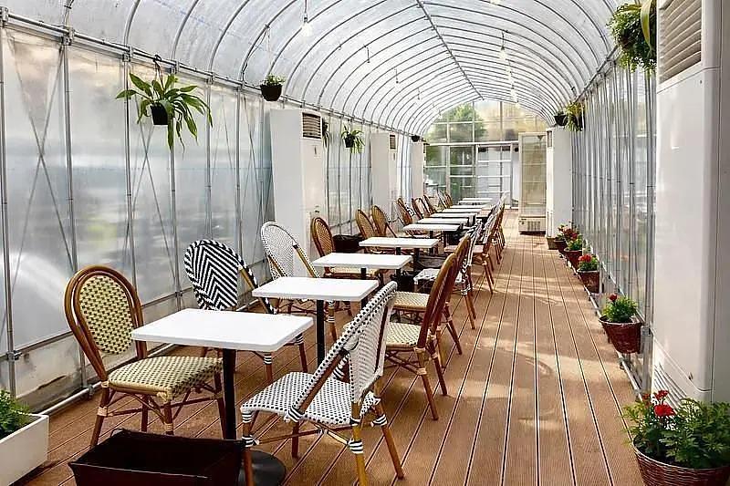 [Yanaka] Sakura Cafe & Restaurant Nippori — A Pet-Friendly Hidden Gem Perfect for a Break During Your Yanaka Strollの画像