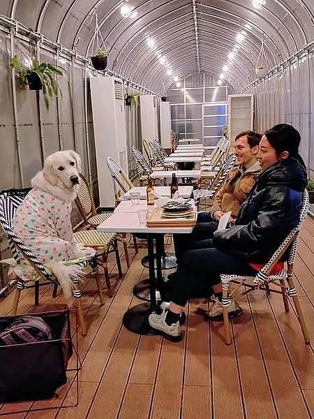 [Yanaka] Sakura Cafe & Restaurant Nippori — A Pet-Friendly Hidden Gem Perfect for a Break During Your Yanaka Strollの画像