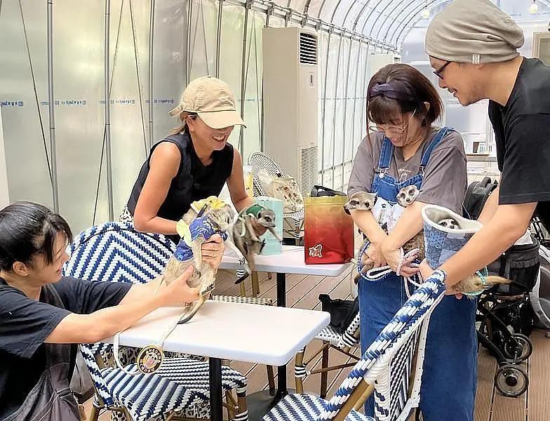 [Yanaka] Sakura Cafe & Restaurant Nippori — A Pet-Friendly Hidden Gem Perfect for a Break During Your Yanaka Strollの画像