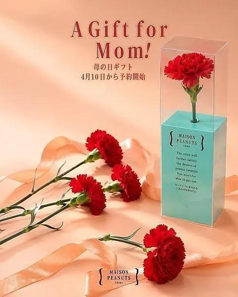 Mother's Day Gift from MAISON PEANUTS CHIBA — A Special Set of Carnation & Peanut Sweetsの画像