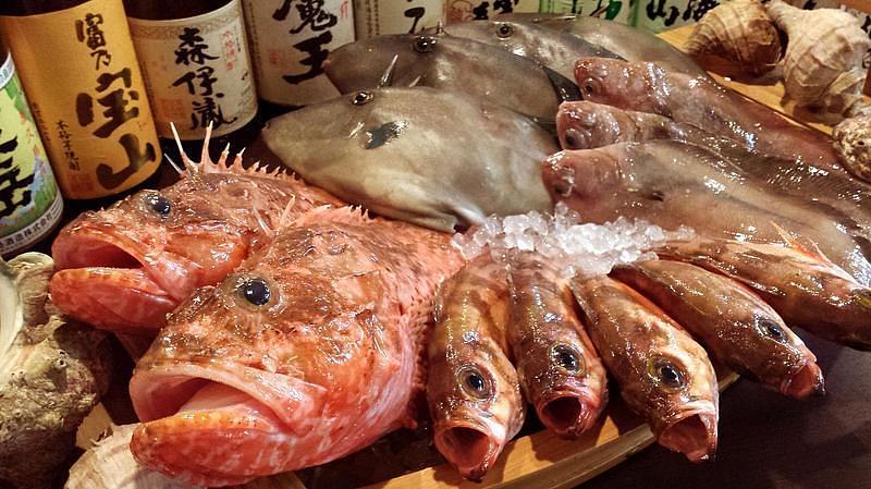 【坂戸】駅チカ！地元に愛されて14年の『居酒屋 うかい』で日本海直送の鮮魚やアサヒとキリン認定店の生ビールを堪能の画像