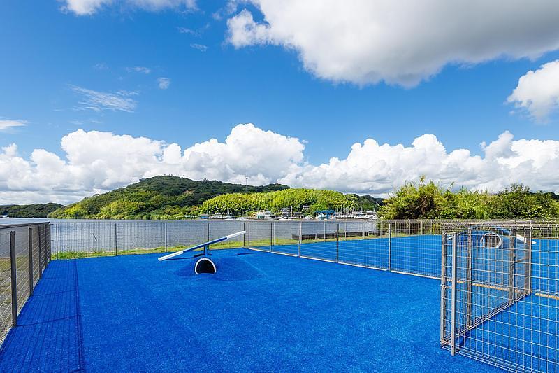 【浜名湖】愛犬と夏を満喫！プール＆ミスト付きドッグランで暑さ対策も万全の『わんわんパラダイス 浜名湖』の画像