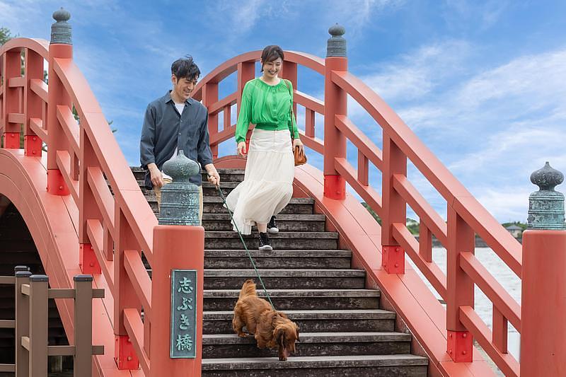 【浜名湖】愛犬と夏を満喫！プール＆ミスト付きドッグランで暑さ対策も万全の『わんわんパラダイス 浜名湖』の画像