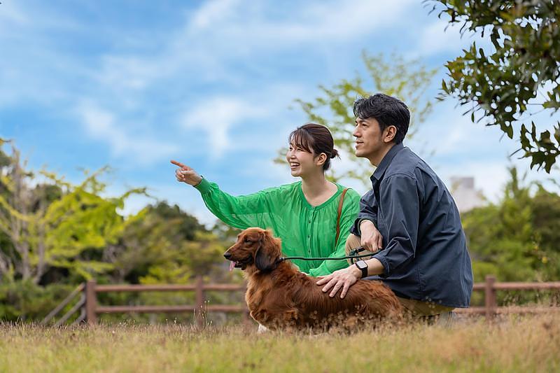 【浜名湖】愛犬と夏を満喫！プール＆ミスト付きドッグランで暑さ対策も万全の『わんわんパラダイス 浜名湖』の画像