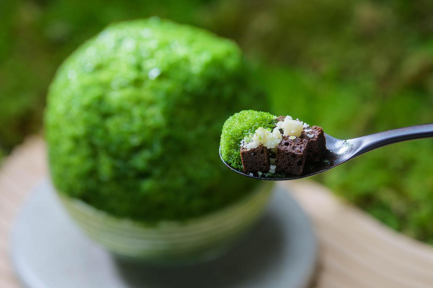 【奥入瀬渓流ホテル】食べられるこけ玉が新登場！知的好奇心を刺激するかき氷「おいらせこけ玉氷」の画像