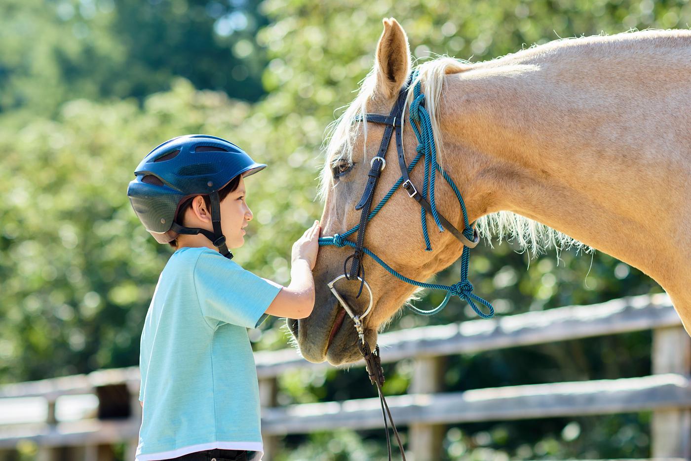 【リゾナーレ八ヶ岳】馬と本気で向きあう「Horse Academy」開催！聴診器や夜の厩舎見学で自由研究が完成の画像