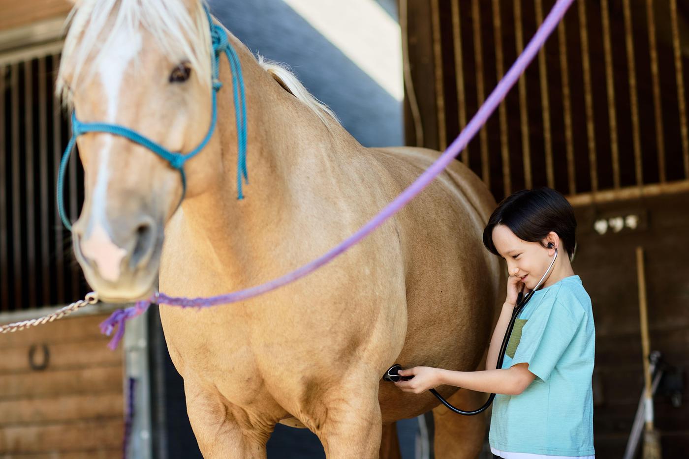 【リゾナーレ八ヶ岳】馬と本気で向きあう「Horse Academy」開催！聴診器や夜の厩舎見学で自由研究が完成の画像