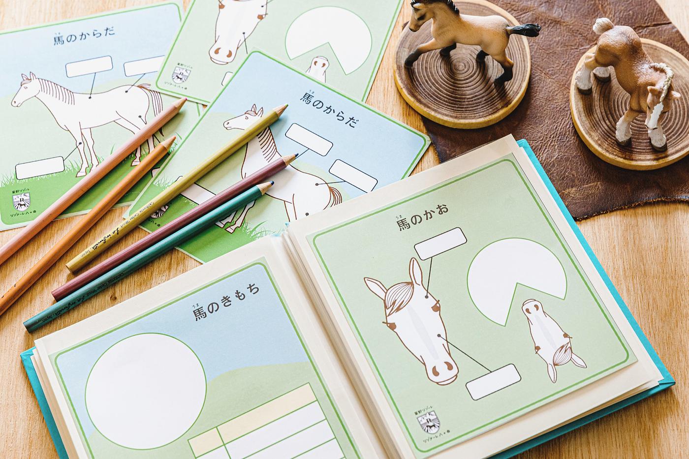 【リゾナーレ八ヶ岳】馬と本気で向きあう「Horse Academy」開催！聴診器や夜の厩舎見学で自由研究が完成の画像