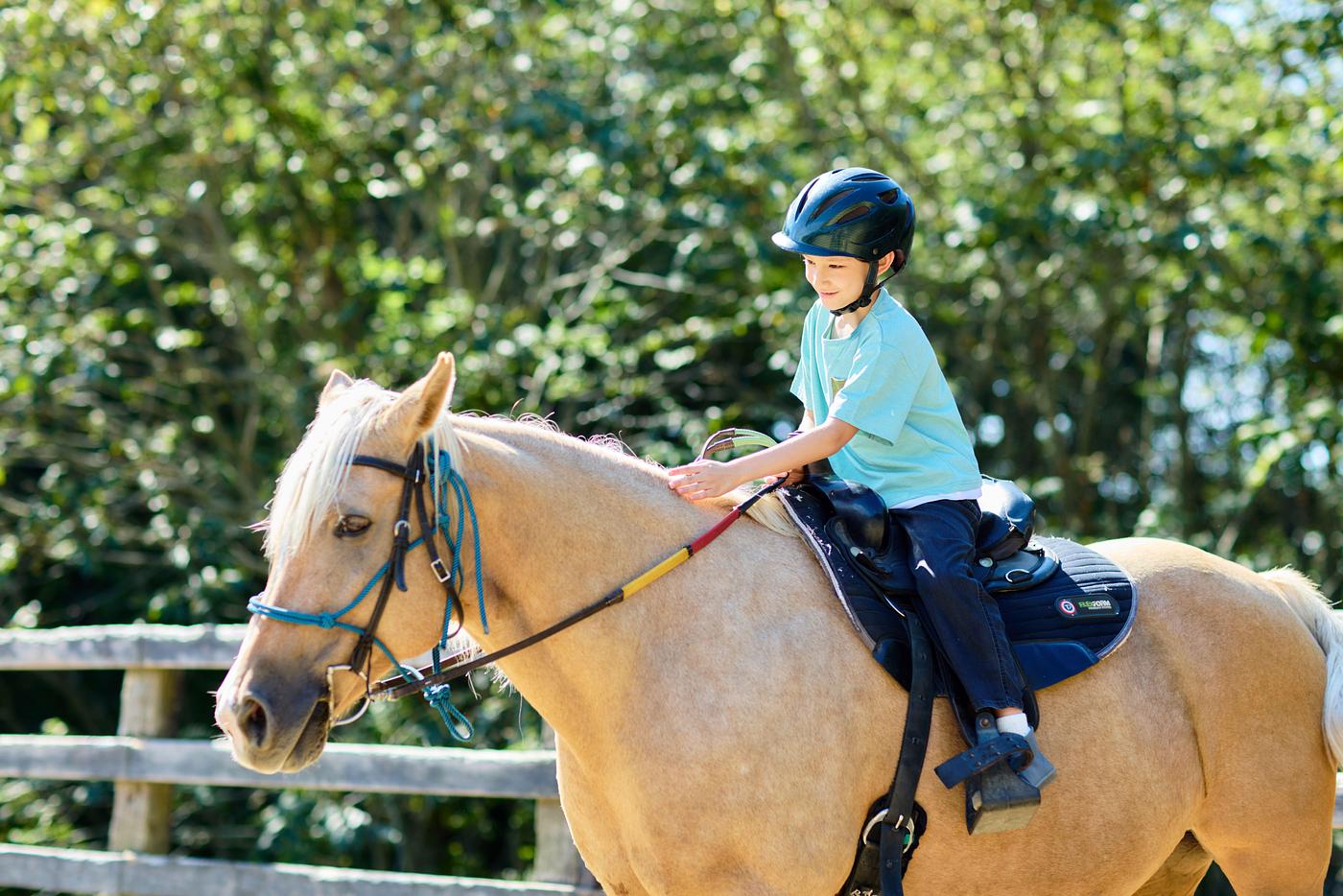 【リゾナーレ八ヶ岳】馬と本気で向きあう「Horse Academy」開催！聴診器や夜の厩舎見学で自由研究が完成の画像