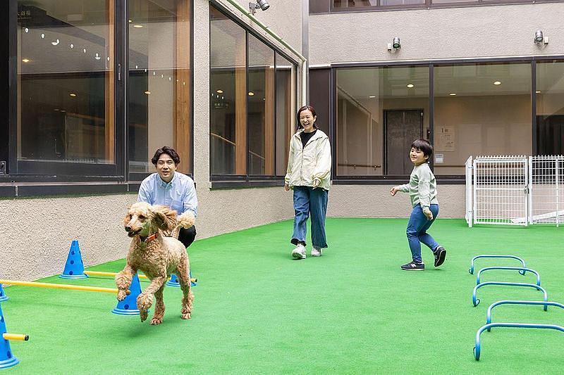 【那須塩原】天候を気にせず愛犬と過ごせる！『わんわんパラダイス プレミア 塩原』の3つのドッグラン＆リブランド1周年記念プランの画像