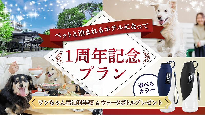 【那須塩原】天候を気にせず愛犬と過ごせる！『わんわんパラダイス プレミア 塩原』の3つのドッグラン＆リブランド1周年記念プランの画像