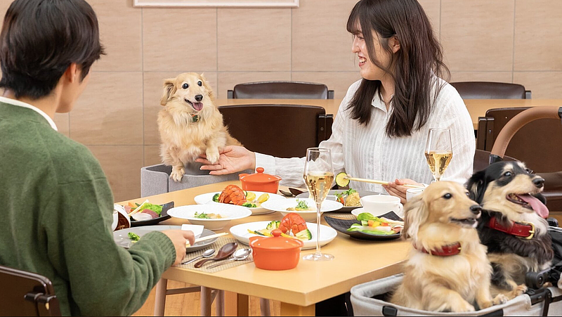 【那須塩原】天候を気にせず愛犬と過ごせる！『わんわんパラダイス プレミア 塩原』の3つのドッグラン＆リブランド1周年記念プランの画像