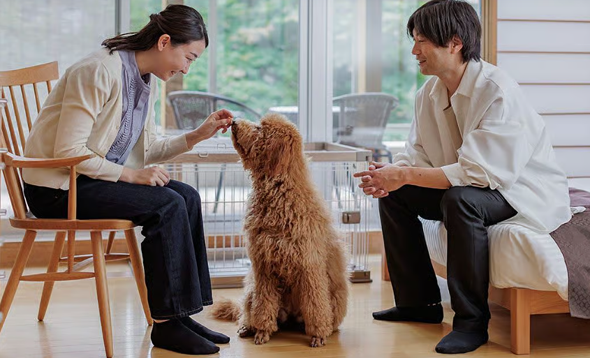 【那須塩原】天候を気にせず愛犬と過ごせる！『わんわんパラダイス プレミア 塩原』の3つのドッグラン＆リブランド1周年記念プランの画像