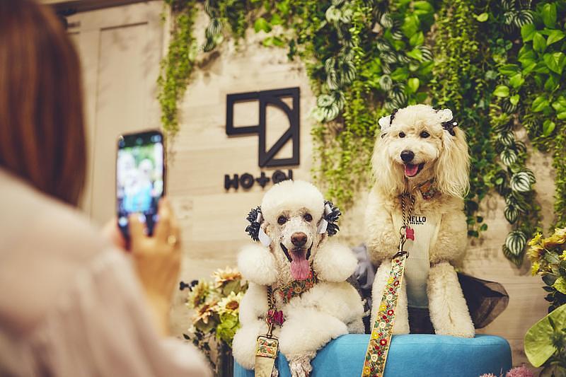 【静岡】愛犬と工芸体験もプリクラもフォトスタジオも！全てのブースで一緒に過ごせる複合施設『1HOTEL』の画像